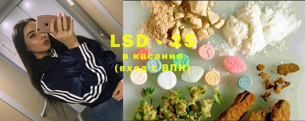 гидра Алексин