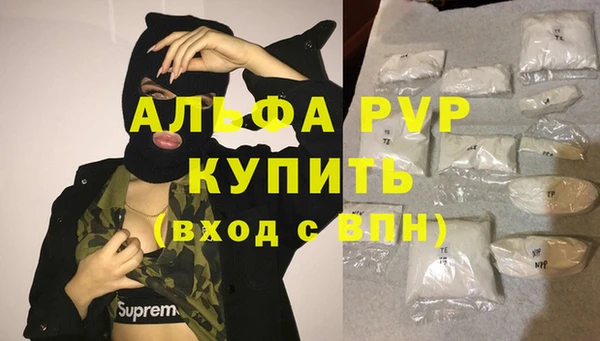 МДПВ Рославль