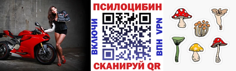 Псилоцибиновые грибы MAGIC MUSHROOMS Грязовец